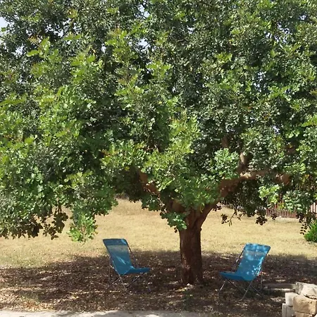 펜션 Dimore Del Carrubo - Openspace Con Piscina