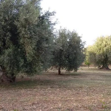 펜션 Dimore Del Carrubo - Openspace Con Piscina